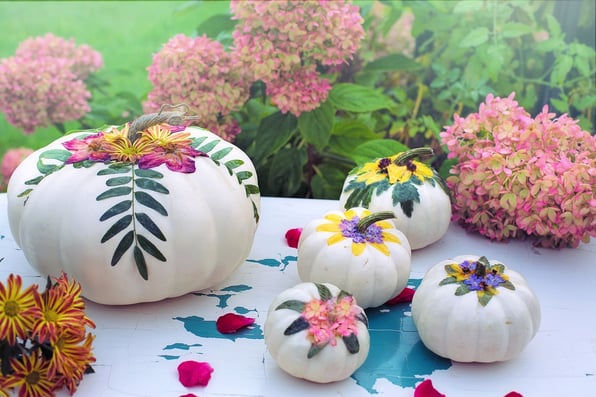 6 Fall Decorating Ideas for Your Apartment