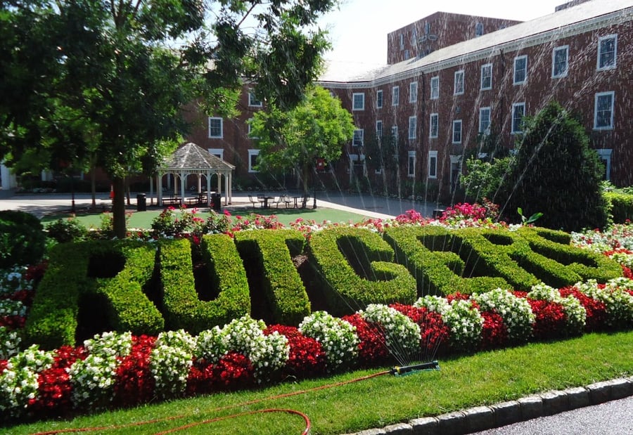 Bridgewater-Universities
