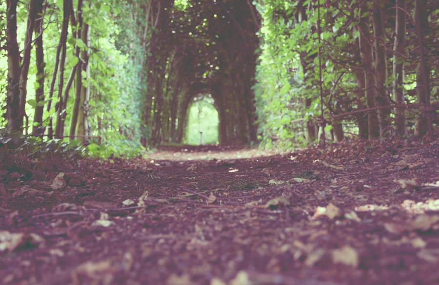 Bridgewater-Trails