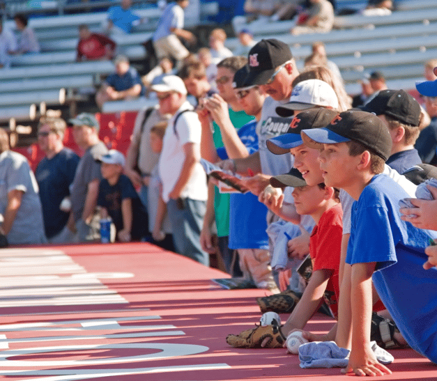 Somerset Patriots.png