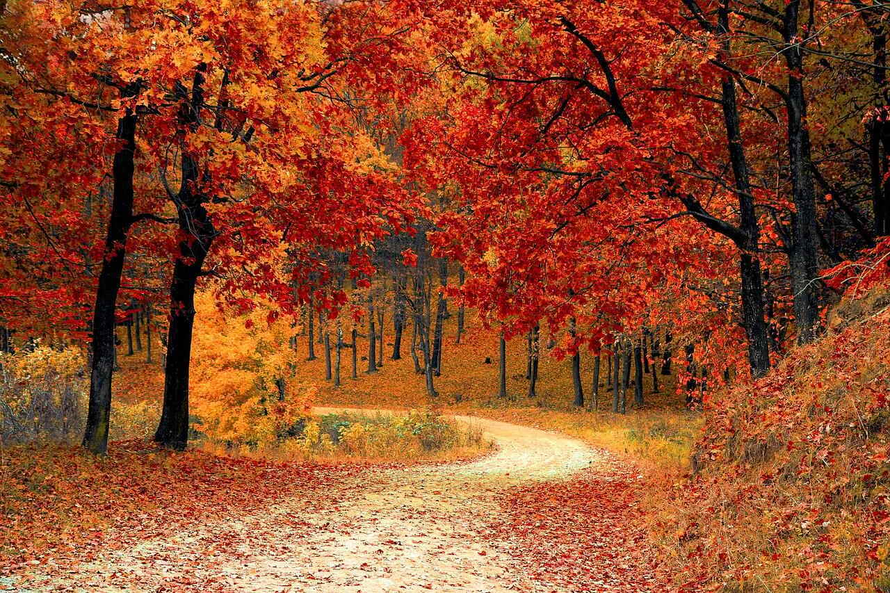 2018 Fall Events Near Bridgewater, New Jersey | Country Classics