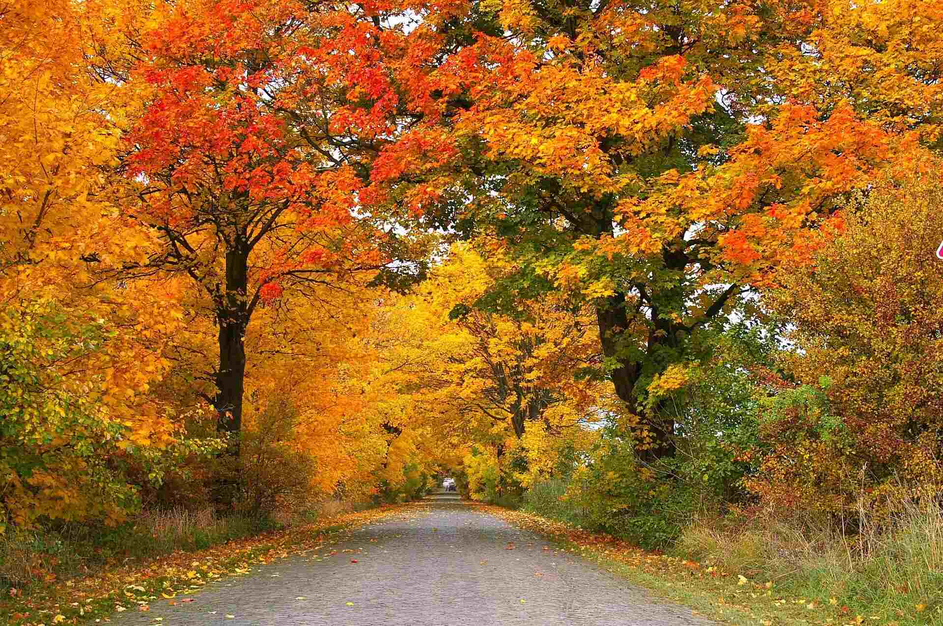 5 Fall Activities in New Jersey | Country Classics