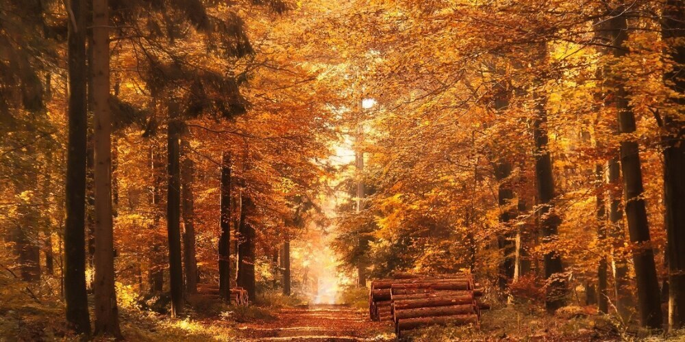 The Best Fall Getaways Near Frenchtown, New Jersey | Country Classics