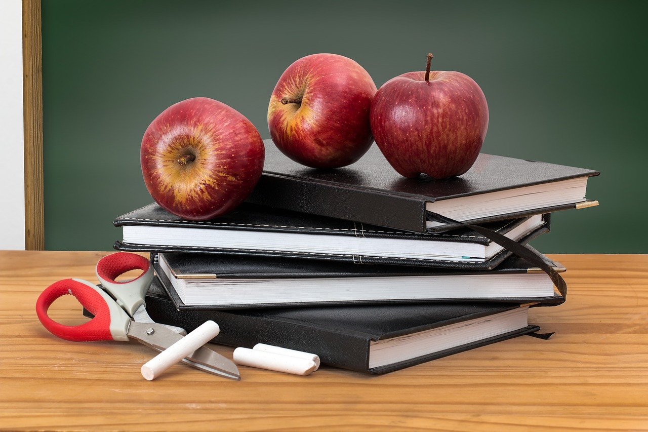 Hillsborough Area School Guide