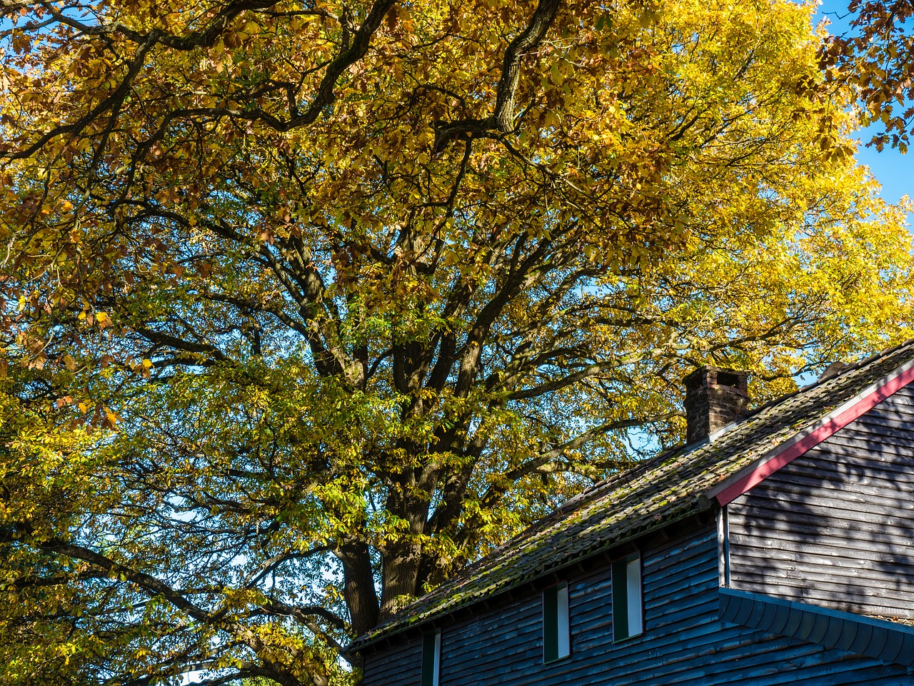 tips-prepare-home-for-fall