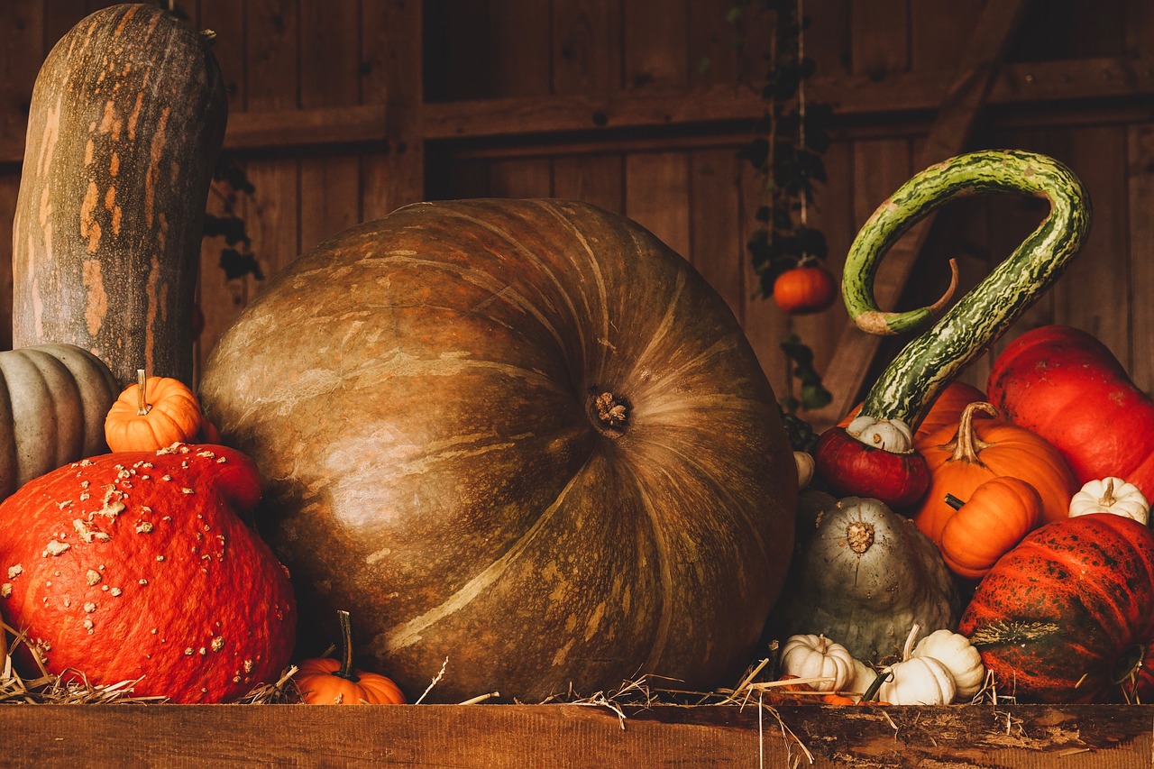 The Best 2019 Fall Events Near Hillsborough