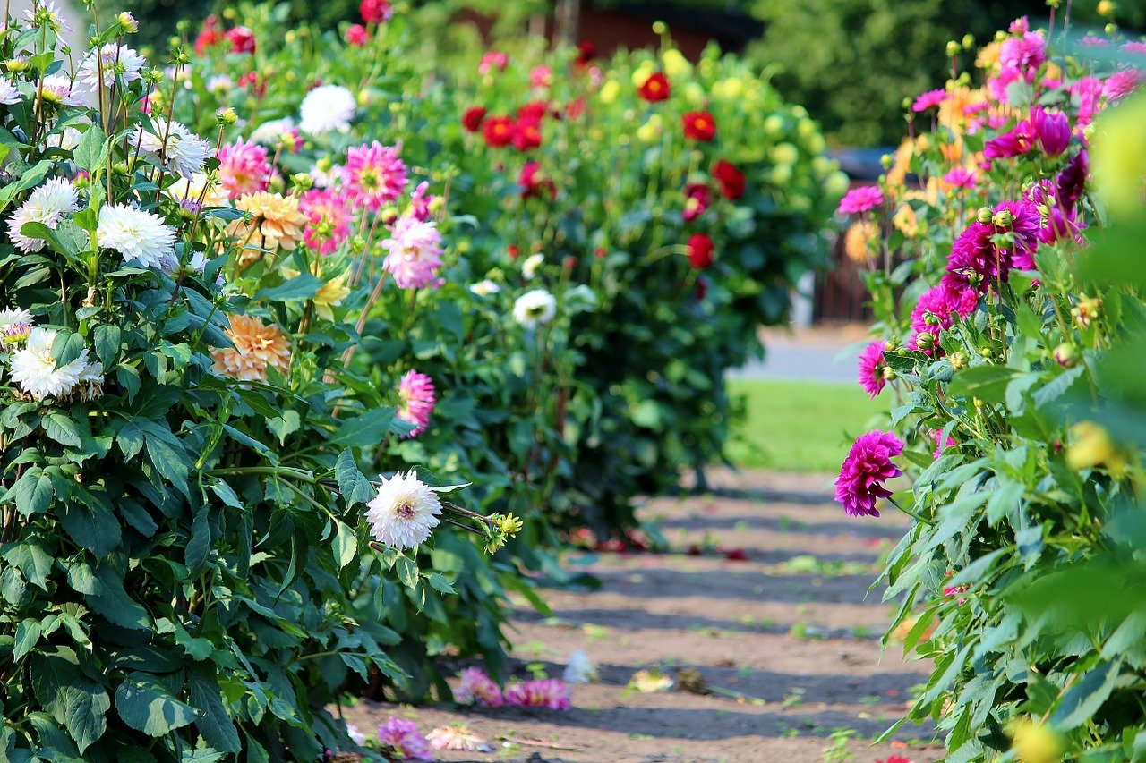 The Best 2019 Events Near Hillsborough, New Jersey