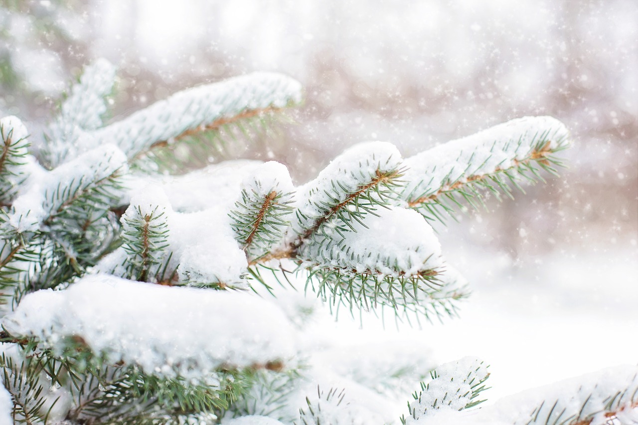 The Best 2019 Winter/Christmas Events Near Bridgewater, New Jersey