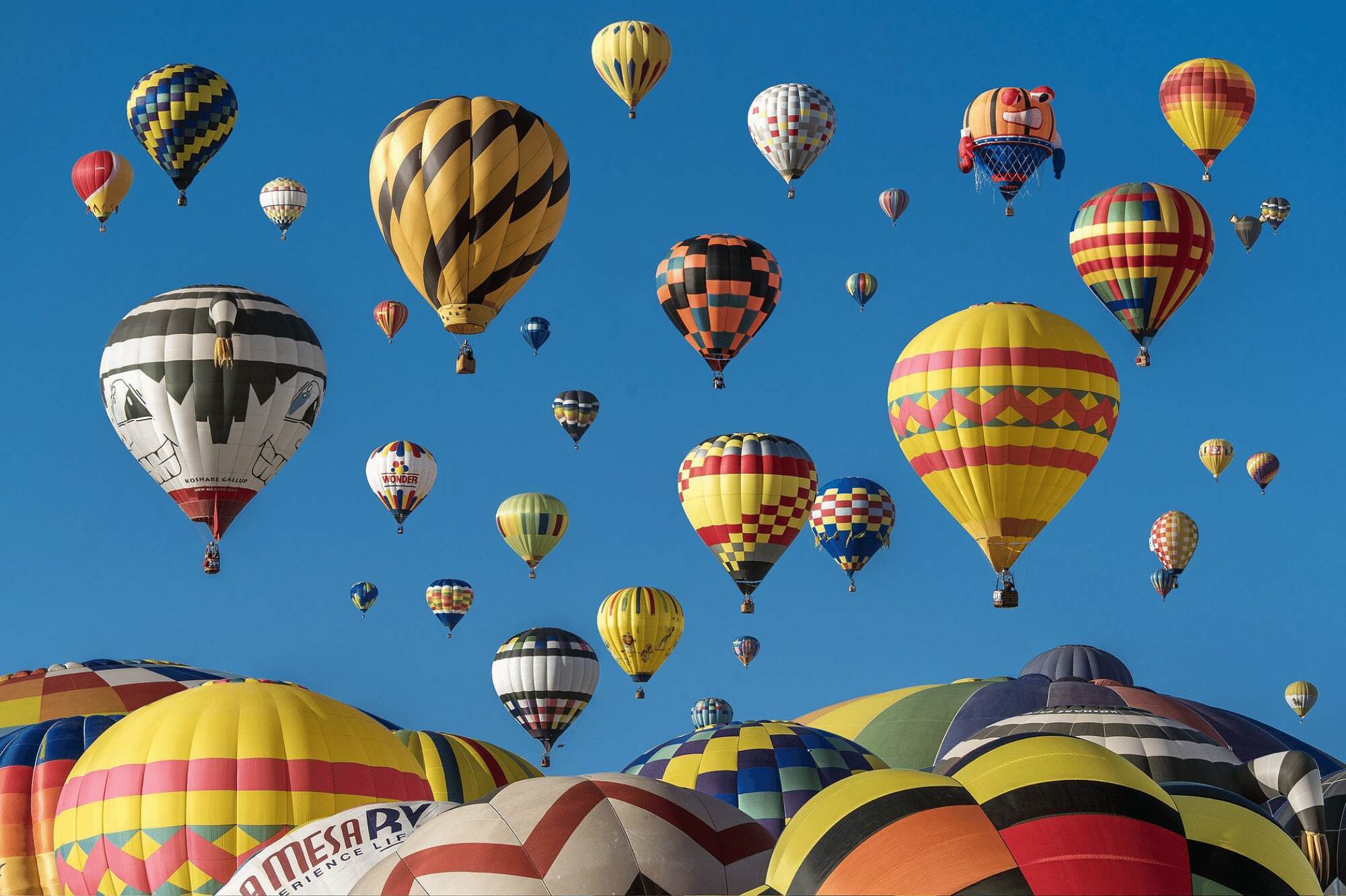 Summer events in Frenchtown New Jersey | Country Classics
