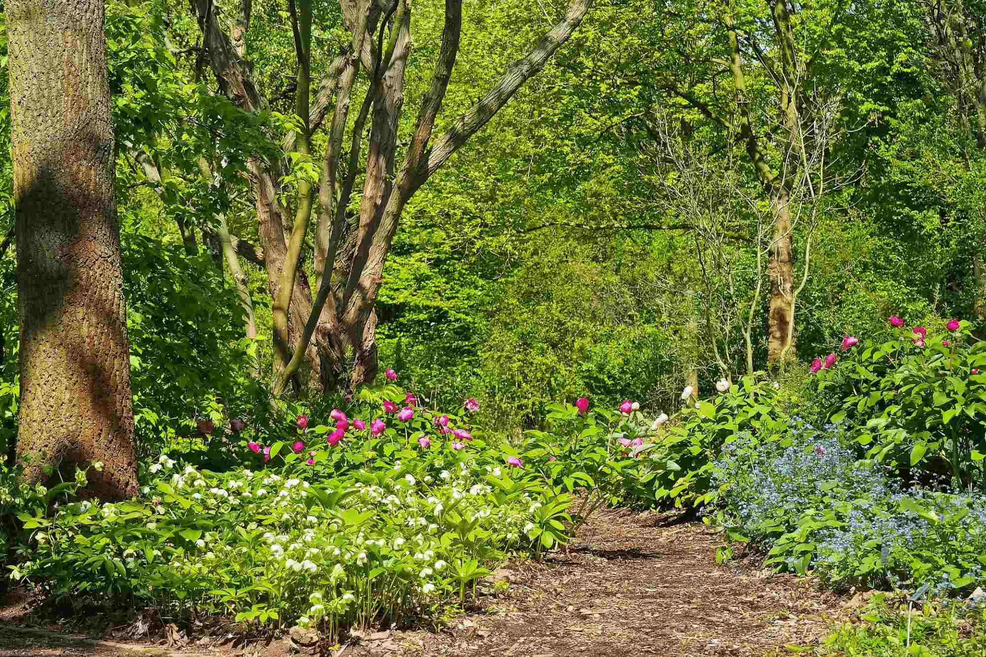 Where to Go Hiking in New Jersey | Country Classics