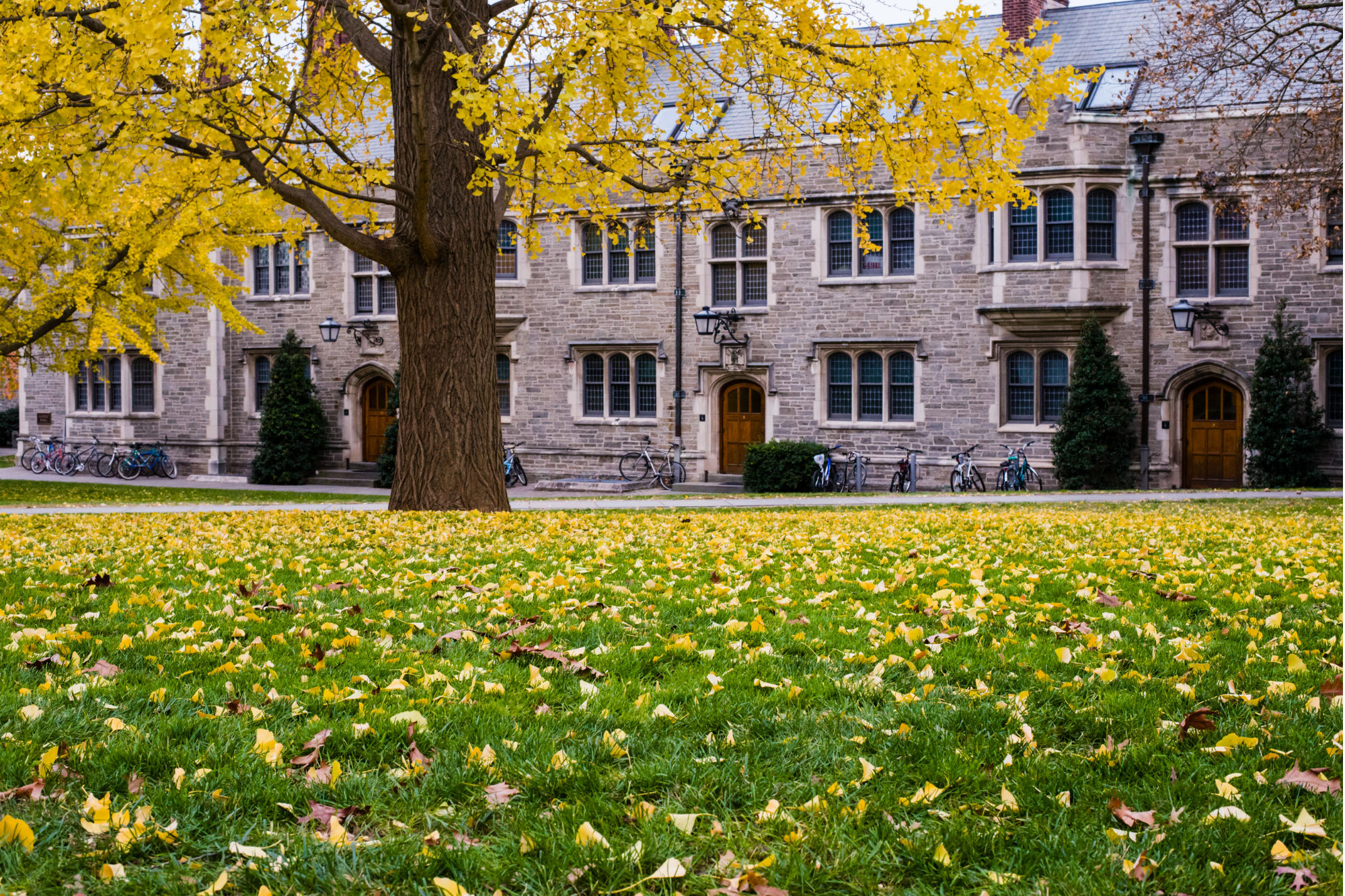Best Colleges and Universities in New Jersey