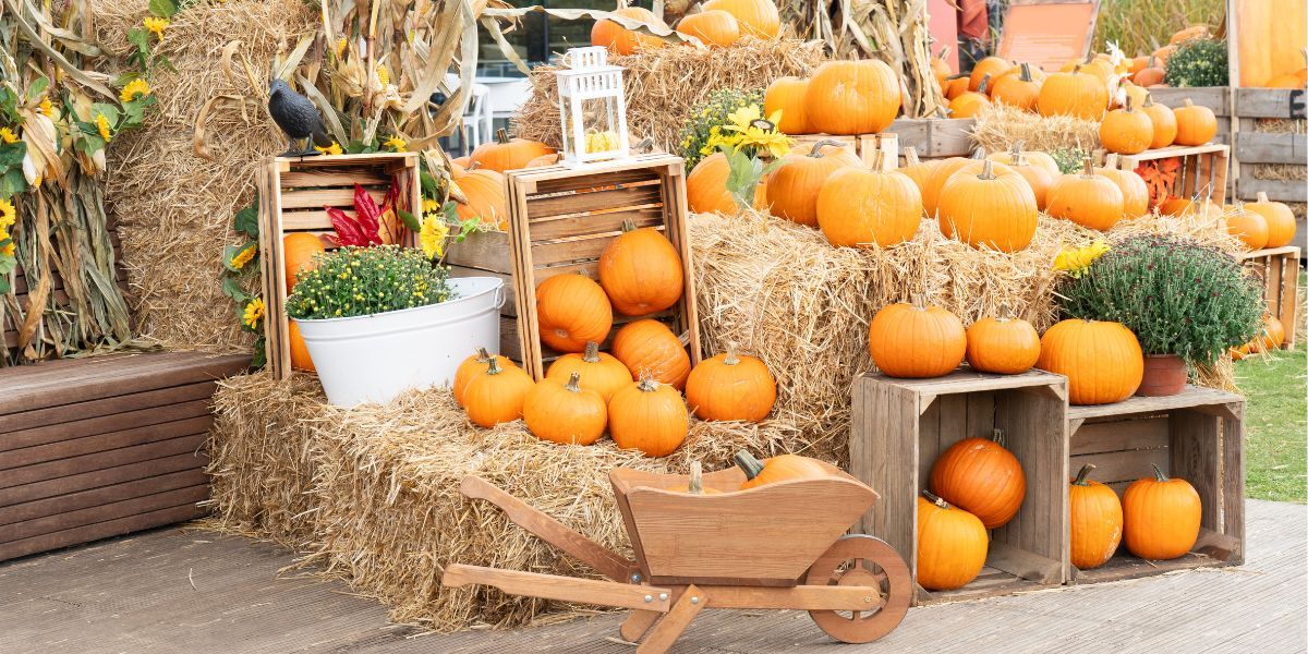 Fall Events in Frenchtown: Your 2025 Guide to Seasonal Fun | Country Classics