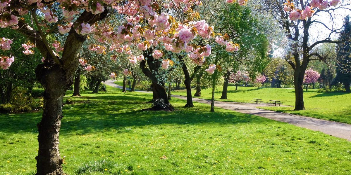 Spring activities in New Jersey | Country Classics