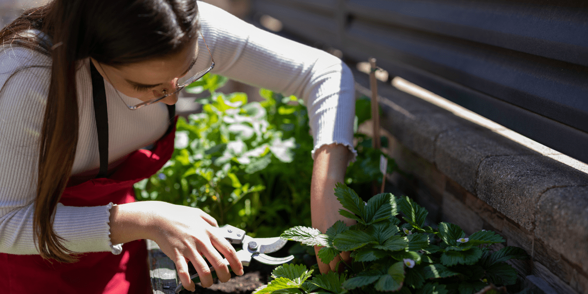 Summer Home Maintenance: 16 Tips to Keep Your Frenchtown Home in Top Shape | Country Classics