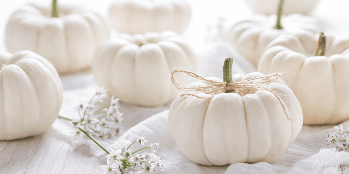 13 Fall Decorating Ideas for Your Apartment | Country Classics 