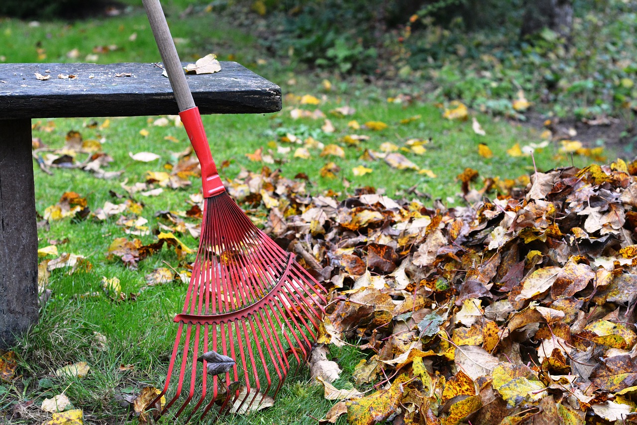 How to Prepare Your Home for Fall in 8 Steps