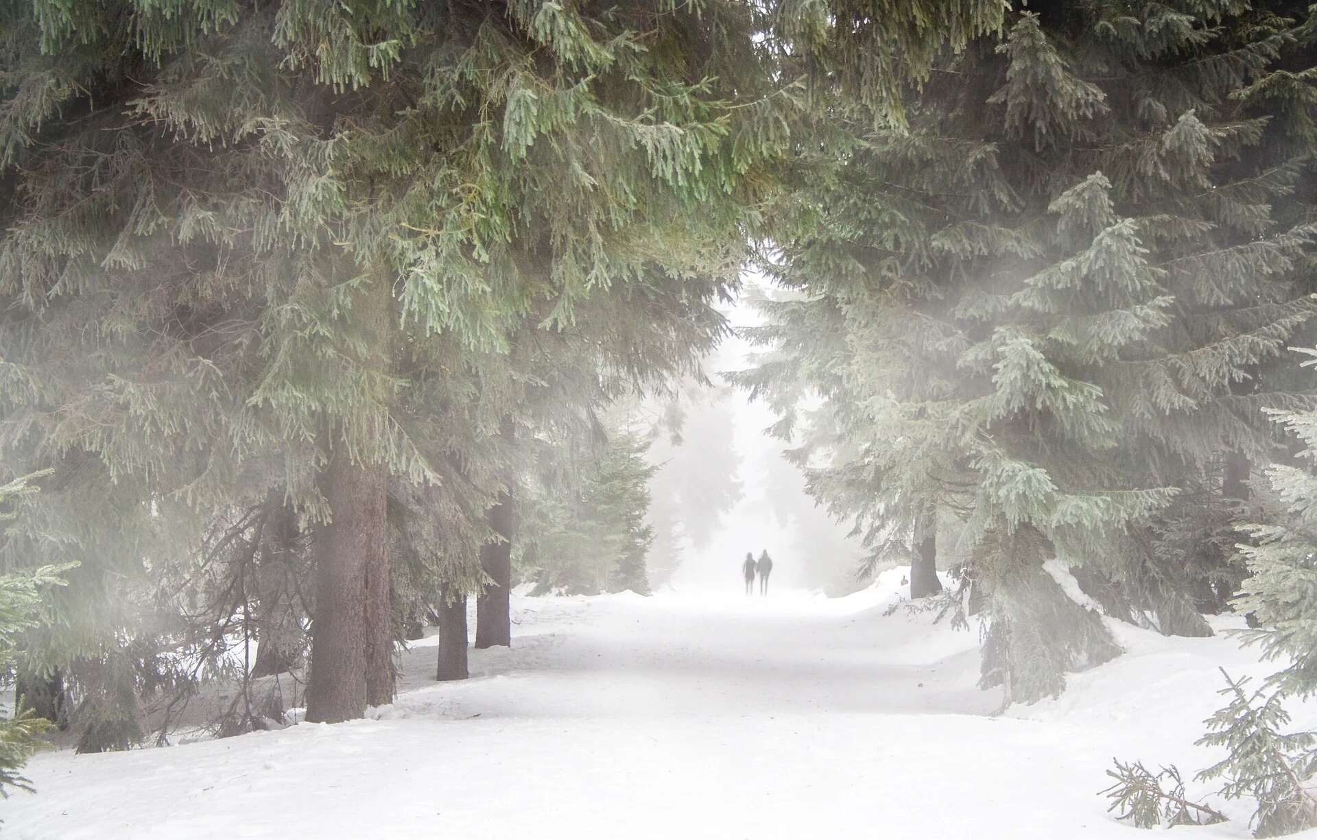 Best Winter Hiking Near New Jersey | Country Classics