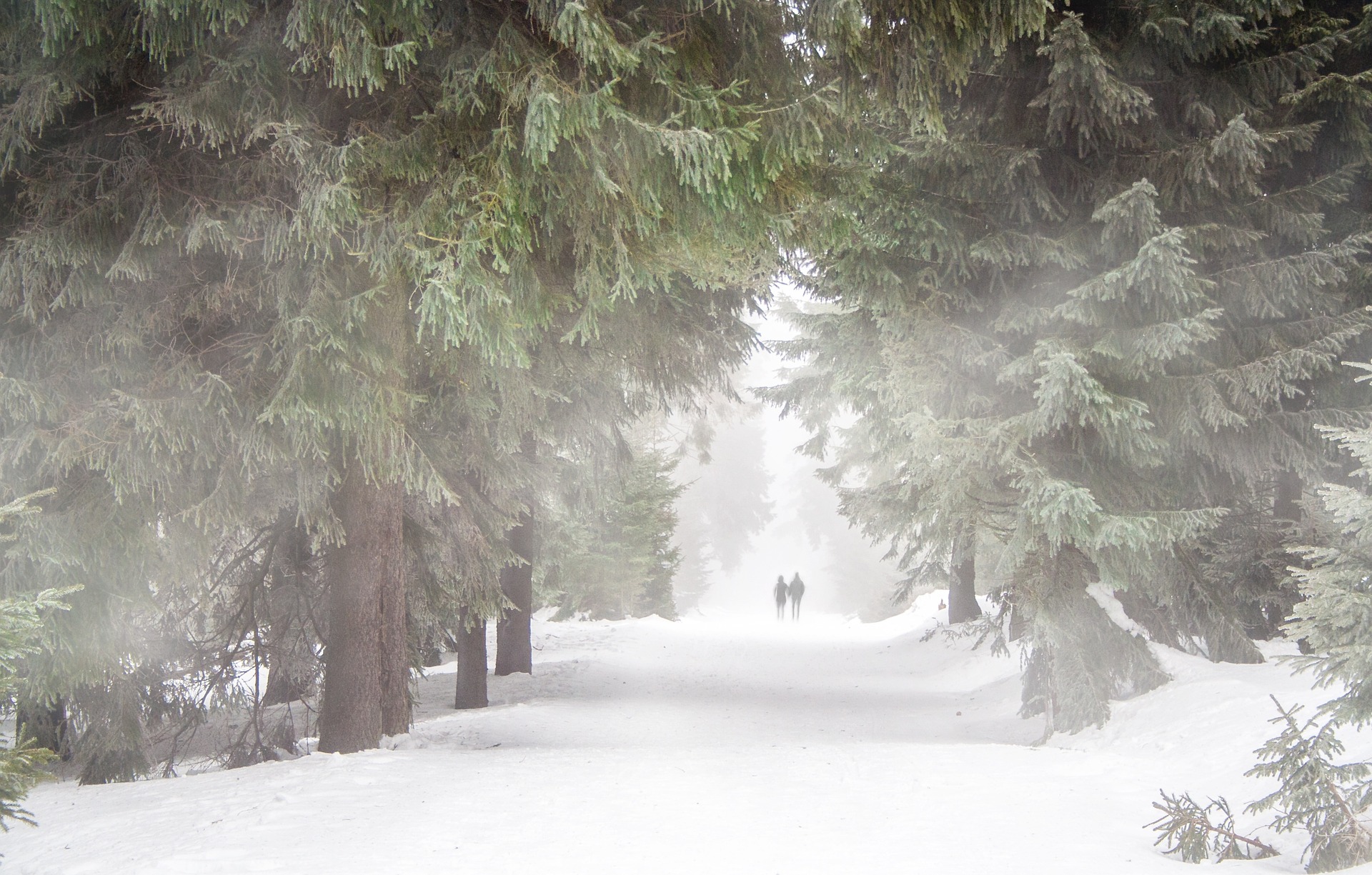 Best Winter Hiking Near New Jersey